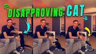 Cat Disapproved Guy Hand Techniques