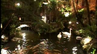 Fernwood Gardens Feature Fernwood Gardens Feature