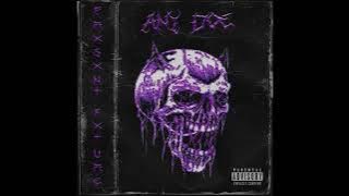 PRXSXNT FXTURE – Any Doe