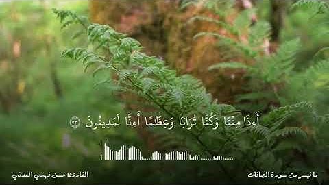 ماتيسر من سورة الصافات Surah Al-Safat | بصوت القارئ حسن فهمي العدني - قراءه مريحة