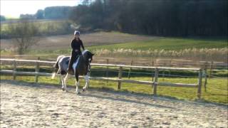 Download Lagu Tara van't hakenbosch par samber MP3 Download Lagu Tara van't hakenbosch par samber MP3