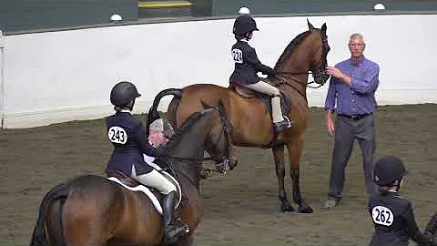 Connecticut Morgan Horse Show- June 2021- Heidi's ...