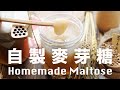 自製麥芽糖好神奇﹗【從小麥來的天然甜味】古老穀物斯佩爾特麥  How to Make Maltose from Spelt