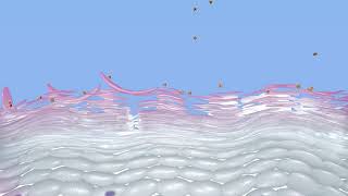Physiogel- BioMimic Technology