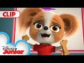 Chef Puppy Paw&#39;s Doggie Treats! 🍭 | Doggie Treats Only Music Video 🎶 | SuperKitties | @disneyjunior​