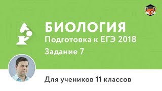 Биология | Подготовка к ЕГЭ 2018 | Задание 7 Биология | Подготовка к ЕГЭ 2018 | Задание 7
