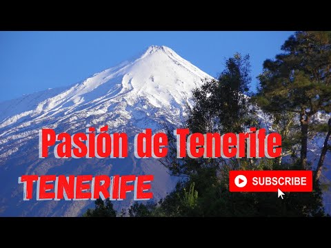 Pasión por Tenerife. #Teide #Tenerife #IslasCanarias