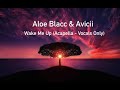 Aloe Blacc Avicii Wake Me Up Acapella Vocals Only Aloe Blacc Avicii Wake Me Up Acapella Vocals Only