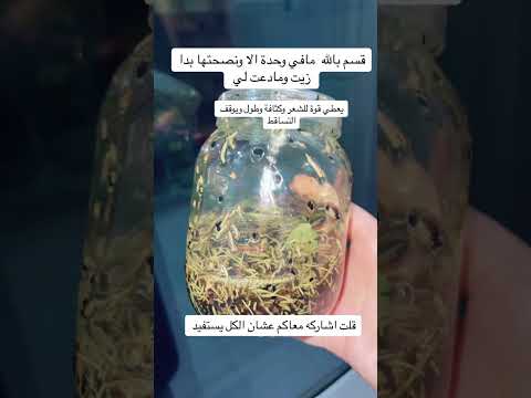 ورق غار اكليل الجبل حبة سودة حلبة ومحلب وقرفة مع زيت زيتون وصفات طبيعية خلطات طبيعية 