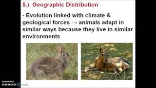 VIDEO SCREENCAST CH. 15 (part 2):  Evolution