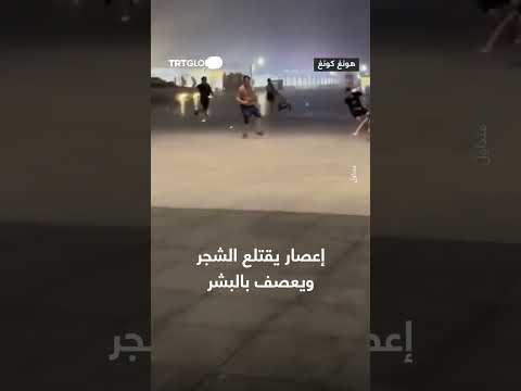 إعصار يقتلع الأشجار ويؤثر على السكان