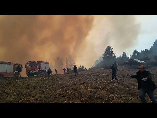 Loading video