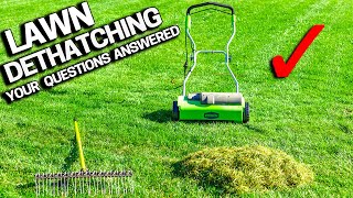 DON'T DETHATCH Your LAWN Before Watching - Your Questions Answered