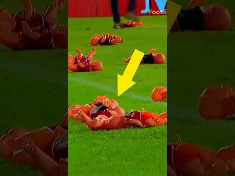 اللاعبين ضد لعبة الأطفال هم