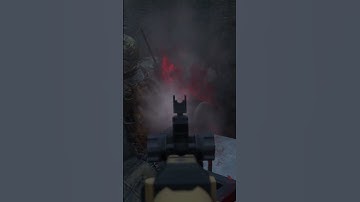 Logging In at The Perfect Time In DayZ