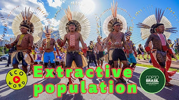Ecoword Extractive Population | Vidtionary Environment | COP30 Belem Brazil Amazon
