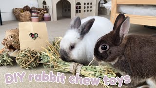 DIY Bunny Chew Toys Your Bunny Will Love