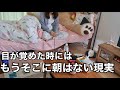 夜更かしをした一人暮らしの朝()はだいたい決まってこんなルーティーン
