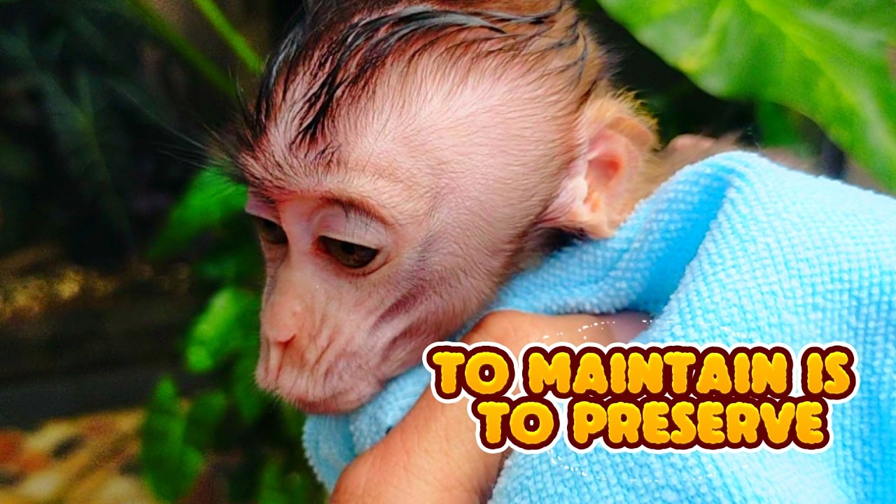 to maintain is to preserve #viral #trending #viralvideo #trend