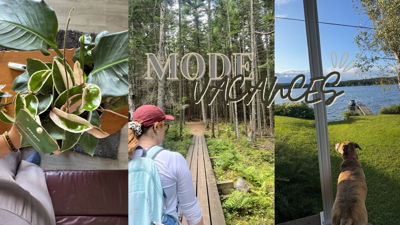 VACANCES - Haul d’épicerie, lunette de course & belle collaboration