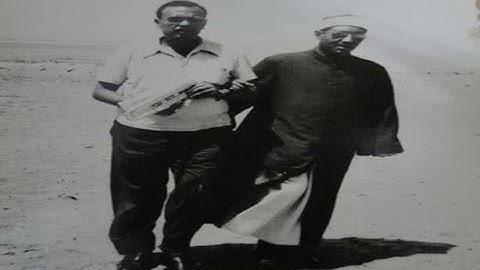 ما تيسر من سورة المائدة | الشيخ محمد عمران