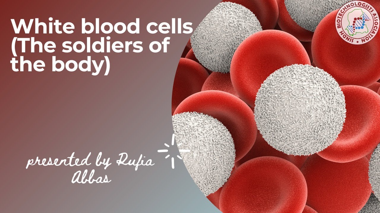 White Blood Cells (WBCs)