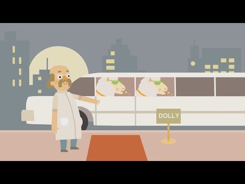 Video: Dolly Het Schaap Werd 20: Hoe Zit Het Nu Met Klonen? - Alternatieve Mening