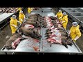 Inside the Wild Boar Leather Factory From Farm to Luxury Goods (Full Process)