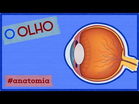 Vídeo: Anatomia, Função E Diagrama Da Artéria Central Da Retina - Mapas Do Corpo