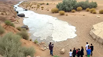 One in A Billion Moments in Nature