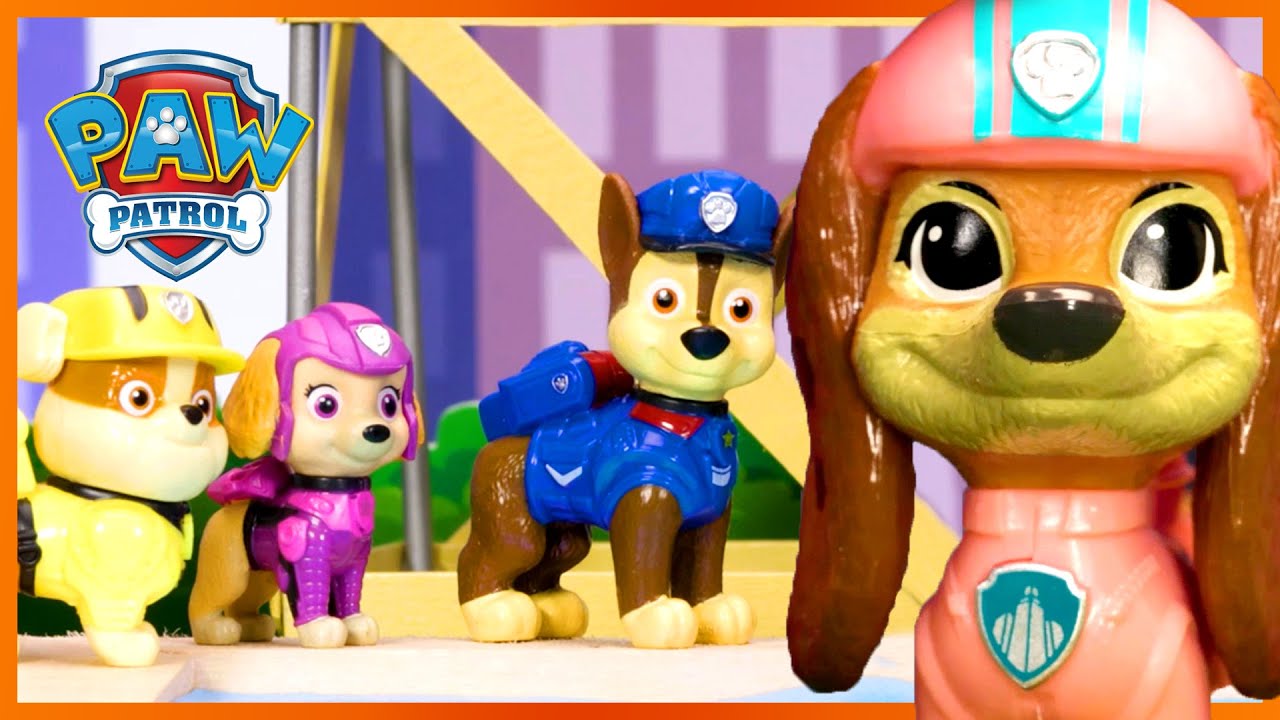 PAW Patrol: Zuma Tonie - Imagination Toys