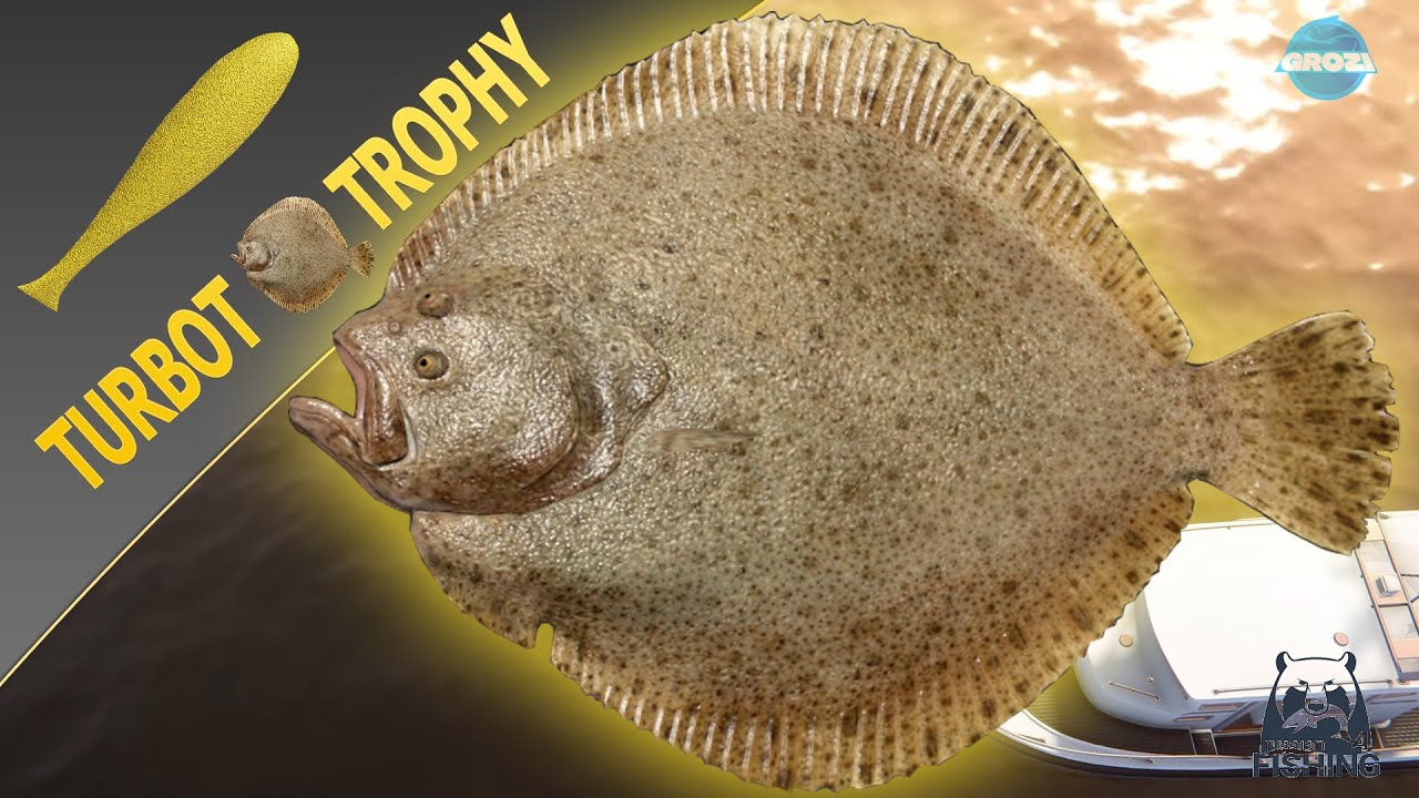 Russian Fishing 4 Rf4 Norwegian Sea Trophy Turbot Youtube