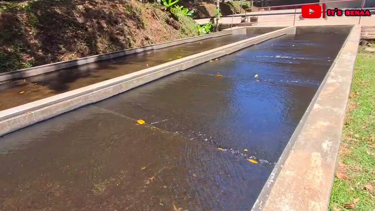 Я этого не ожидала в холмах Ньямбене… 😳🌲