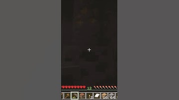 That Sounded So Fake... #minecraft #funny #tiktok #comedy #mine #memes #gaming #minecraftmemes #meme