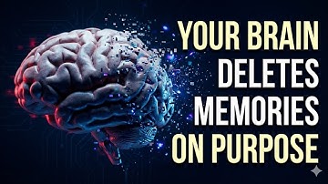 Your Brain Deletes Memories on Purpose (Here’s Why)