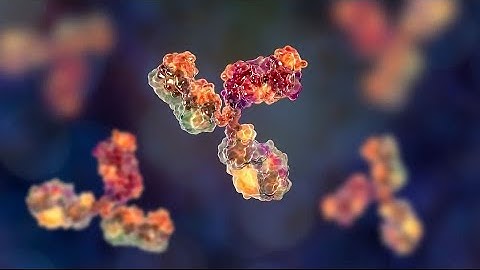 Introduction to Adaptive Immunity