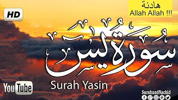 قران كريم بصوت جميل جدا جدا يشرح القلب  سورة يس كاملة | تلاوة هادئة لكل قلب حزين