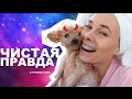 ЧИСТАЯ ПРАВДА // МНЕ НАДОЕЛИ ВАЙНЫ