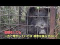農文協DVD　地域で止める獣害対策シリーズ２　エサとすみかをなくす環境整備（試写版）