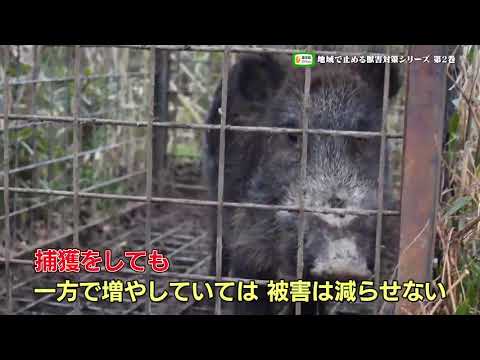 農文協DVD 地域で止める獣害対策シリーズ2 エサとすみかを