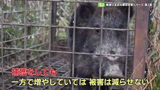暮らしを守る獣害対策シリーズ DVD 暮らしを守る獣害対策シリーズ 全1枚』農文協編 - 田舎の