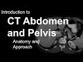 Introduction to ct abdomen and pelvis anatomy and approach