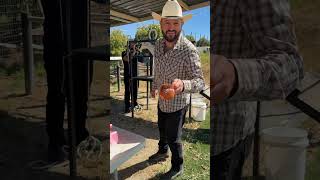 Parte #2 Pajarete Time 🤠💪🏻 #pajaretetime #pajarete #chivas #ordeña