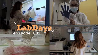 картинка: LabDays │ работа в лаборатории, опыты и мышата
