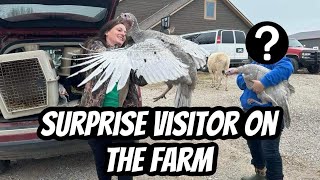 Farm Tour Takes An Unexpected Twist With Surprise Guest