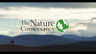 Carrier’s Collaboration with The Nature Conservancy Helps to Restore Our Earth