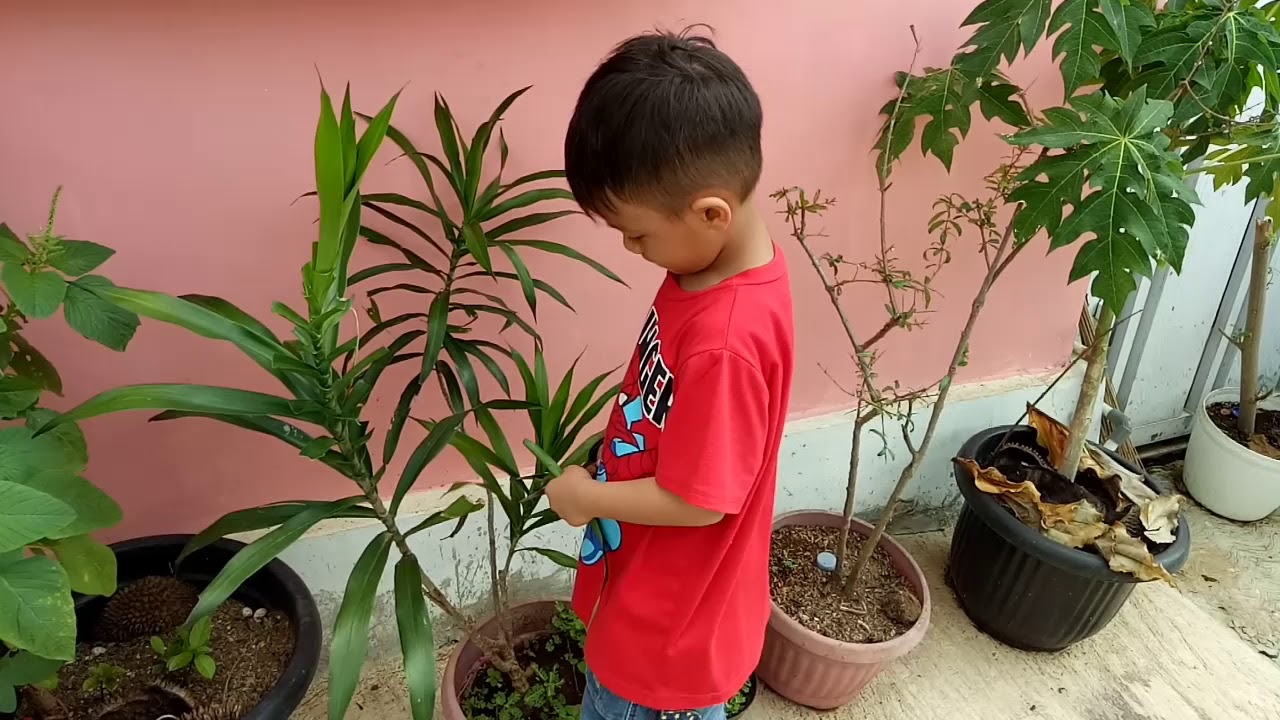 Bilal Membuat Mahkota Dari Daun  YouTube