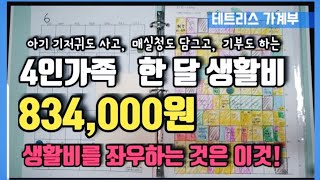 테트리스가계부/4인 가족 한 달 생활비/생활비를 좌우하는 것은 이것!/매실청 담그기