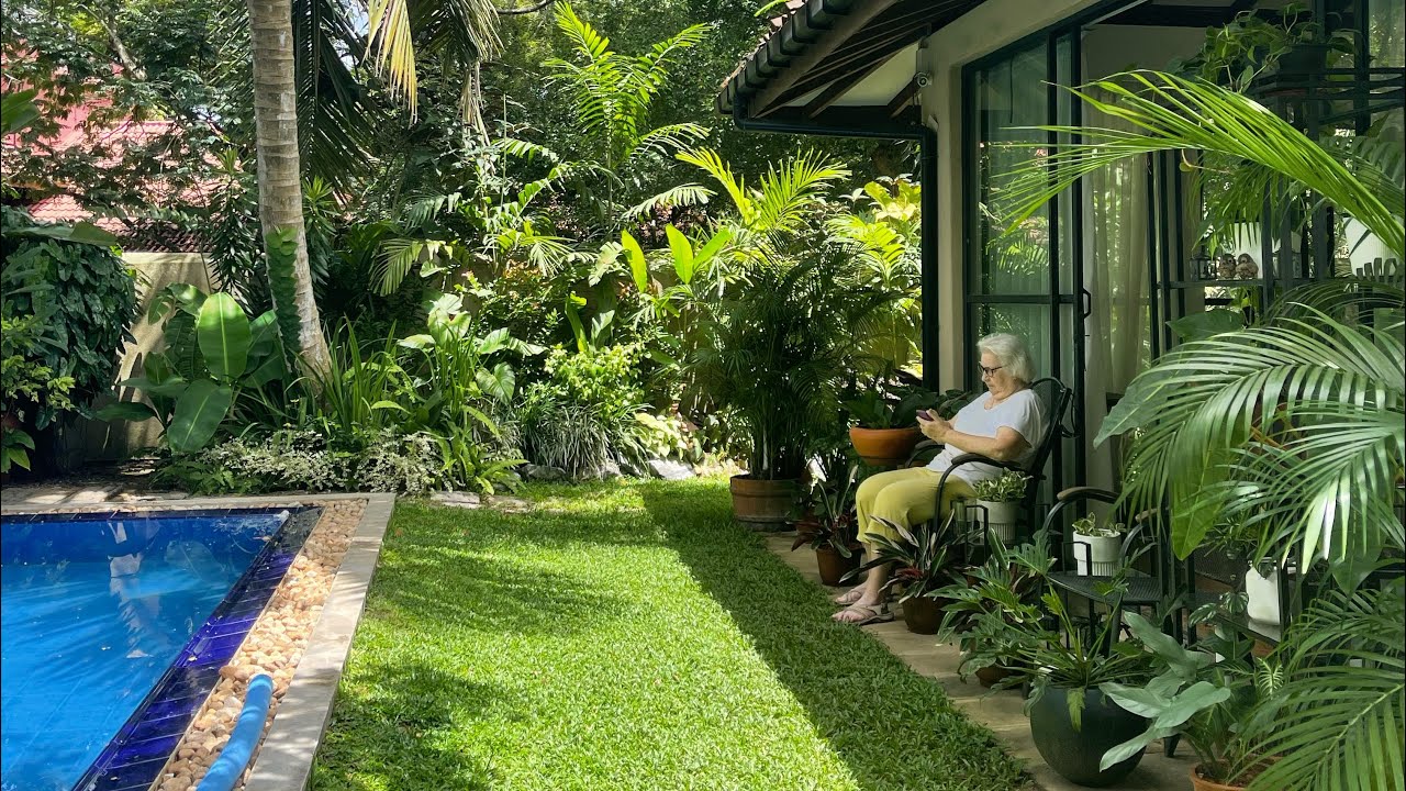 Tropical Home Garden In Sri Lanka You