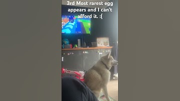 3rd most rarest egg appears in Roblox build a zoo (conveyor level:legendary)